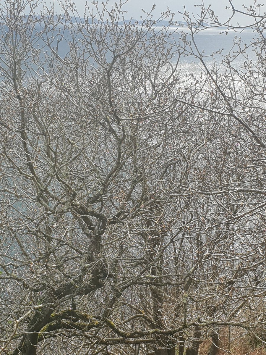 morganeriou3's tweet photo. Le Dellec #Bretagne #boldaire https://t.co/0j1dpcoO28
