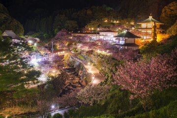 ミズミミズに害はあるの ミズミミズを食べるメダカや生体 駆除の方法は メダカの飼育 飼い方を知ろう アクアリウムなら大分めだか日和