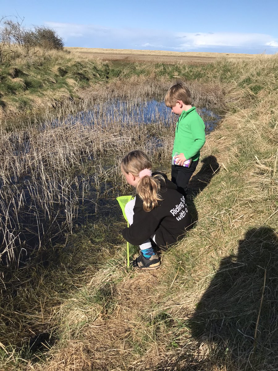 gemma22216346's tweet photo. @DunbarNursery Aiden &amp; Mia went on a tadpole hunt. They’re now looking after the frog spawn until it grows into frogs 🐸 https://t.co/42JwN8OlaB