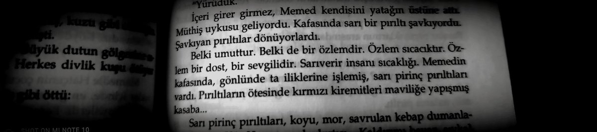 Belki umuttur. Belki özlemdir. Özlem sıcacıktır. Özlem bir dost, bir sevgilidir. Sarıverir insanı sıcaklığı. Memedin kafasında, gönlünde ta iliklerine işlemiş, sarı pirinç pırıltıları vardı. Pırıltıların ötesinde kırmızı kiremitleri maviliğe yapışmış kasaba...