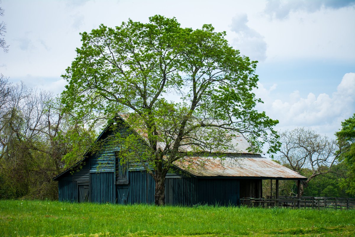 artzmaryann's tweet photo. I'm in love with this barn and farmland
#barn #barns #bluebarn #oldbarns #farm #farms #farmland #countrylife #farming #farmlife #farmers #theoldbarn #oldbarn #countryliving #nostalgia #nostalgic #farmvibes #countryvibes #landscapes #artzydreams #beauty #trees #nature #barnlover https://t.co/K0LYp1xXDq