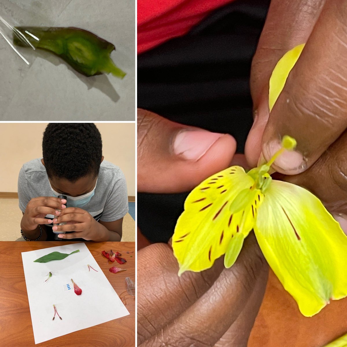 prairielakees's tweet image. Super Science Saturday was awesome!!! Four more to go!! #OCPSsci5 @DrRahim_Jones @Mindi_M_Smith