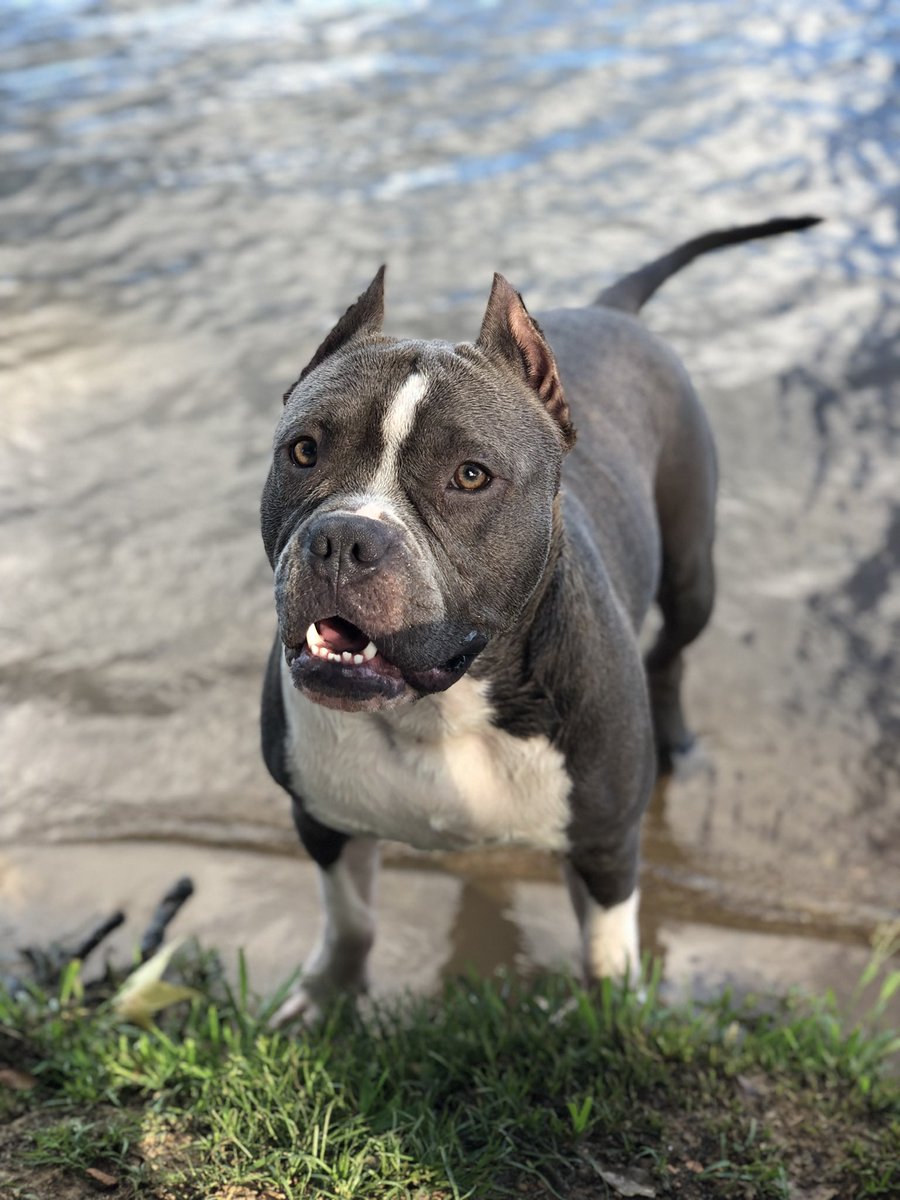 igotaHARTon's tweet photo. I miss my boy.. https://t.co/eWZWA0PL0L