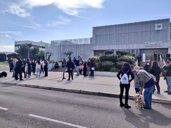 FAADAorg's tweet photo. Todo nuestro apoyo a los activistas que se han concentrado en la puerta de la empresa #Vivotecnia para pedir la entrega de los #animales... estamos con vosotr@s y pedimos al gobierno de la Comunidad de #Madrid que actúe ya‼️#RescateVivotecnia https://t.co/Vr5uaKZUza