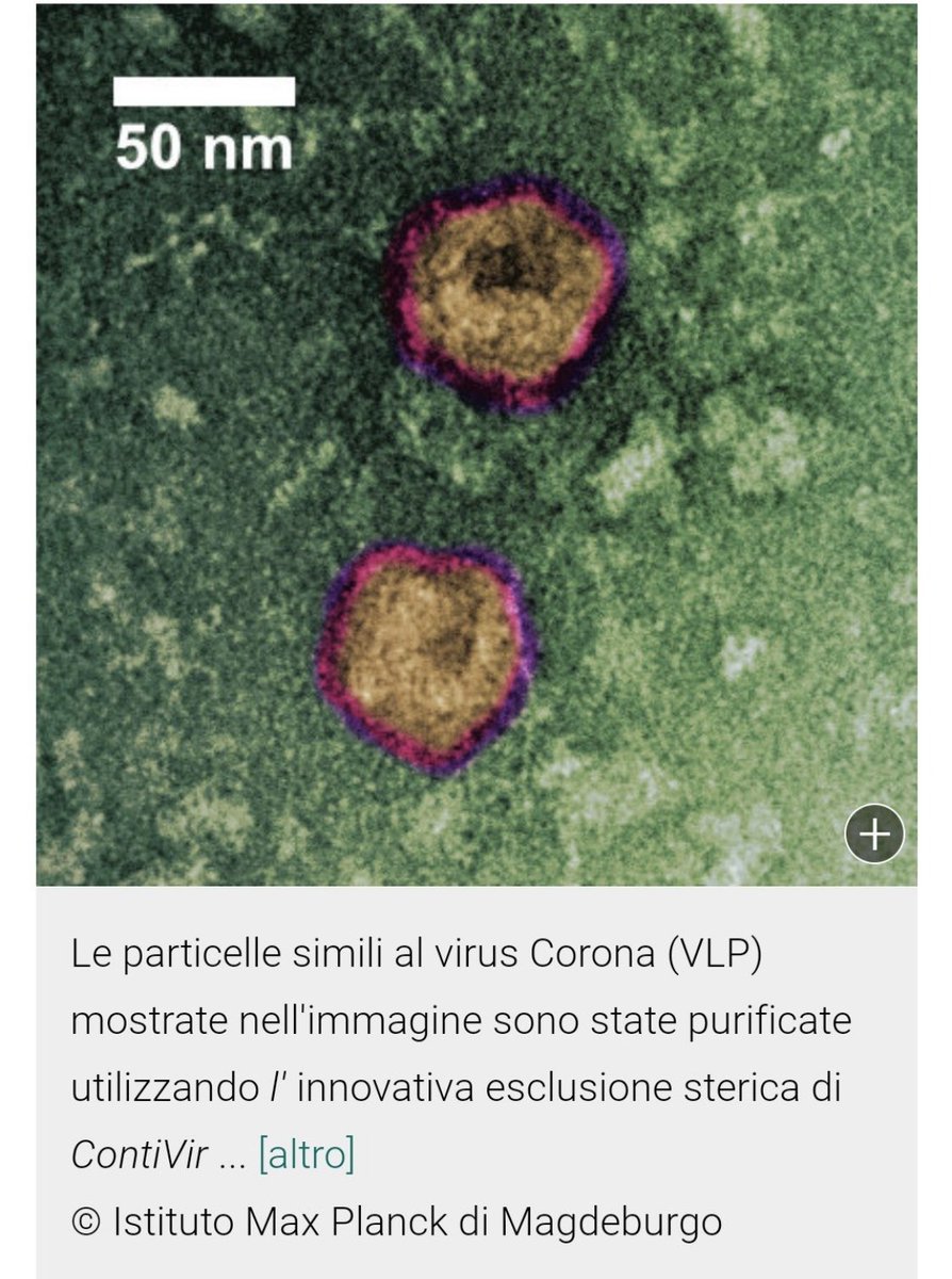Entonces tuve una pequeña conversación con  @BidoliNicola que me abrió los ojos de nuevo, gracias siempre Nicola  ¿es posible que esté coexistiendo otro virus junto al SARs-CoV-2 en los infectados? o ¿podría haberse dado recombinación de virus y se esté detectando “algo más”?