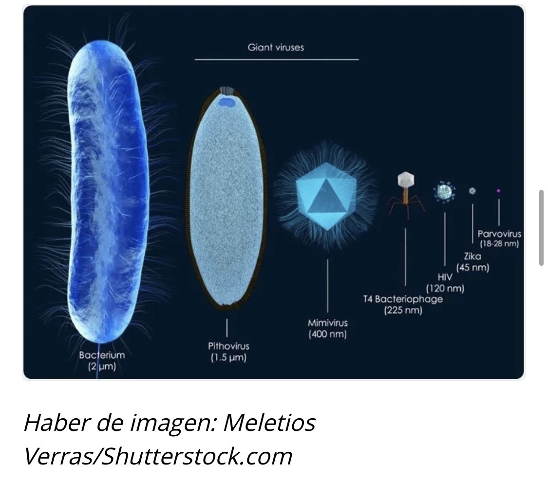 No deja de llamarme la atención la disparidad de fotos, tamaños y criterios que hay con este virus y el hecho de que se observan grandes incertidumbres. ¿Y si esas dudas se produjeran por la existencia de una partícula viral (tamaño pequeño) capaz de interactuar con este virus?