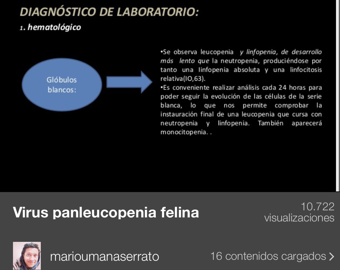 Una de las enfermedades más temidas por las asociaciones de protección felina es la Panleucopenia, que es una enfermedad de cachorros fulminante y tremendamente contagiosa. Si un cachorro desarrolla la Panleucopenia es probable que todos los demás cachorros de esa camada mueran.