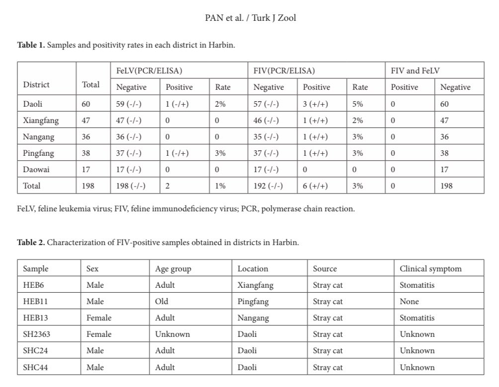Y ya puestos pues miré también si había un estudio con gatos leucémicos e inmunodeprimidos (FELV/FIV) también en Harbin.Y también lo encontré. Realizado con gatos callejeros. Tres estudios: FIP,FELV y FIV realizados en Harbin, China. https://journals.tubitak.gov.tr/zoology/issues/zoo-18-42-2/zoo-42-2-9-1706-3.pdf