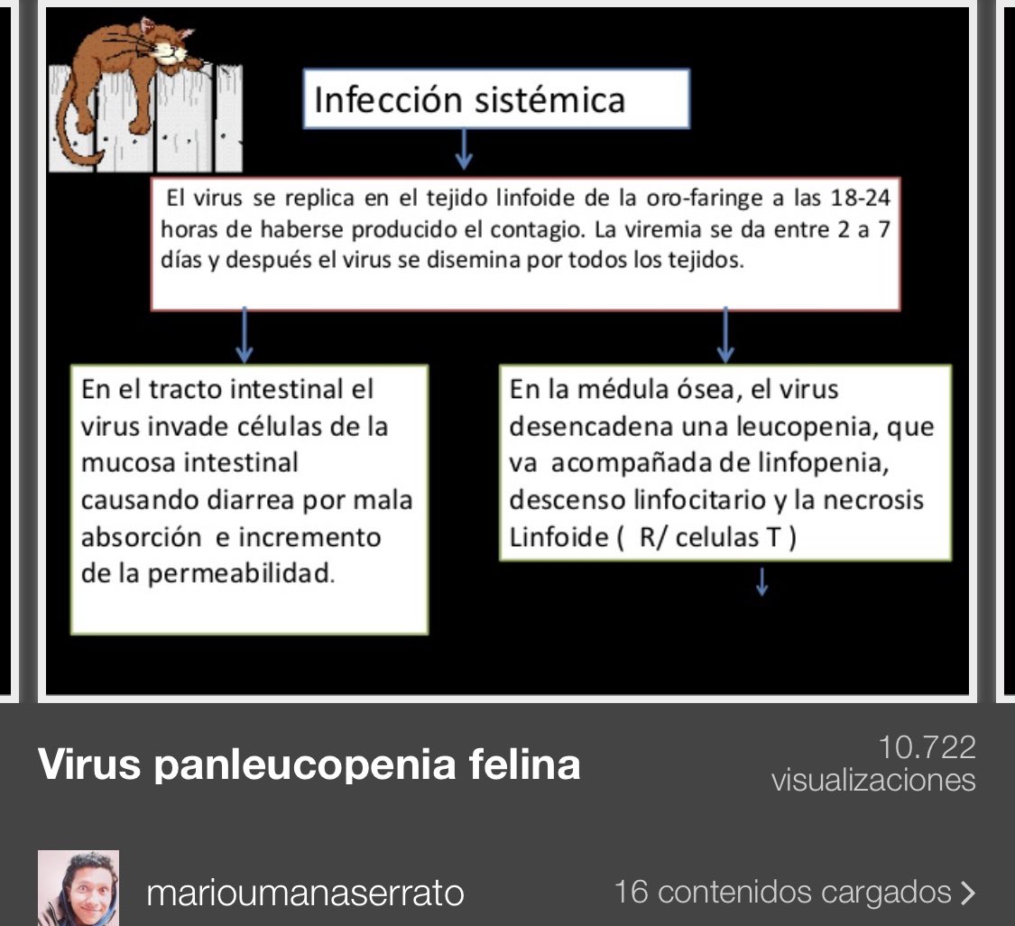 Esta enfermedad produce una anemia con un cuadro de gastroenteritis, vómitos y diarrea. Es fulminante para un cachorro neonato debilitado y para los que consiguen superarlo pueden quedar secuelas neurológicas. Se produce linfopenia, leucopenia y necrosis linfoide.