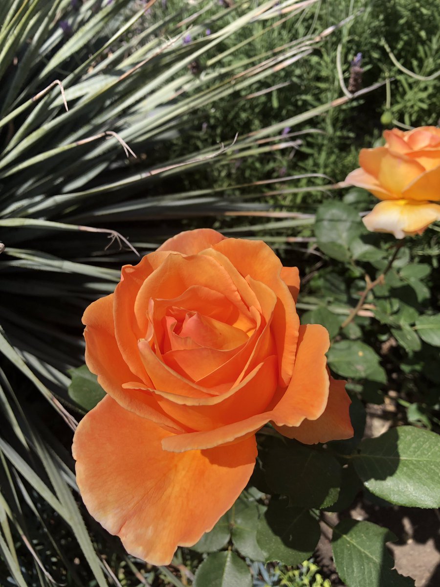dubioseducator's tweet photo. #SaturdayThoughts Clearing my brain, for a bit. Post in the works, I think. #walkingviews https://t.co/pNQ5YsmRjz