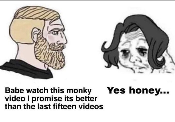 Primates tweet media