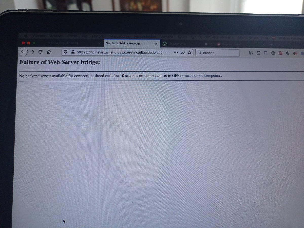 🙃 zarebott tweet media