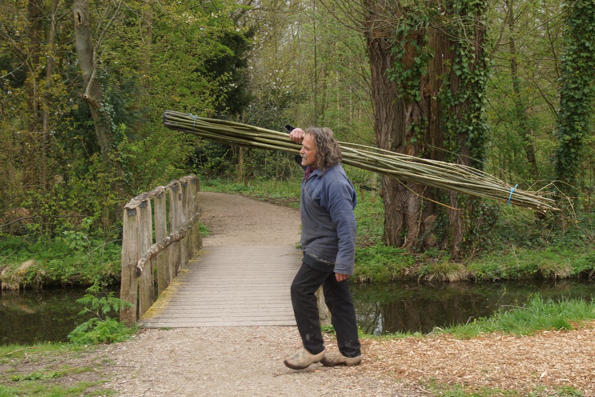 groene_long's tweet image. De Groene Long is weer versterkt, 200 nieuwe stekken gezet. #parkhuistekinderdijk #vrijwilliger #griend #groen #biodiversiteit
