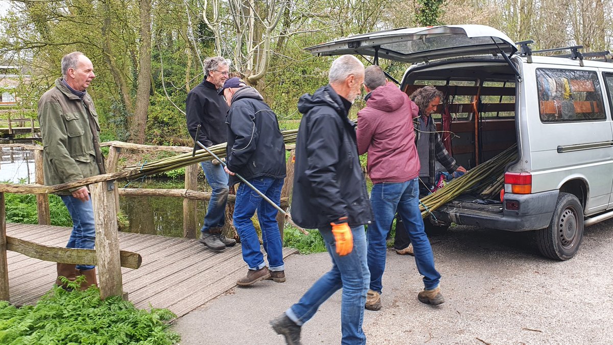 groene_long's tweet image. De Groene Long is weer versterkt, 200 nieuwe stekken gezet. #parkhuistekinderdijk #vrijwilliger #griend #groen #biodiversiteit