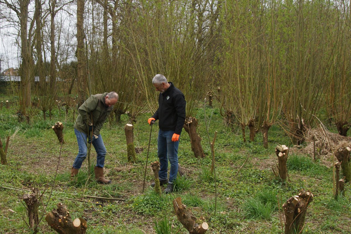 groene_long's tweet image. De Groene Long is weer versterkt, 200 nieuwe stekken gezet. #parkhuistekinderdijk #vrijwilliger #griend #groen #biodiversiteit