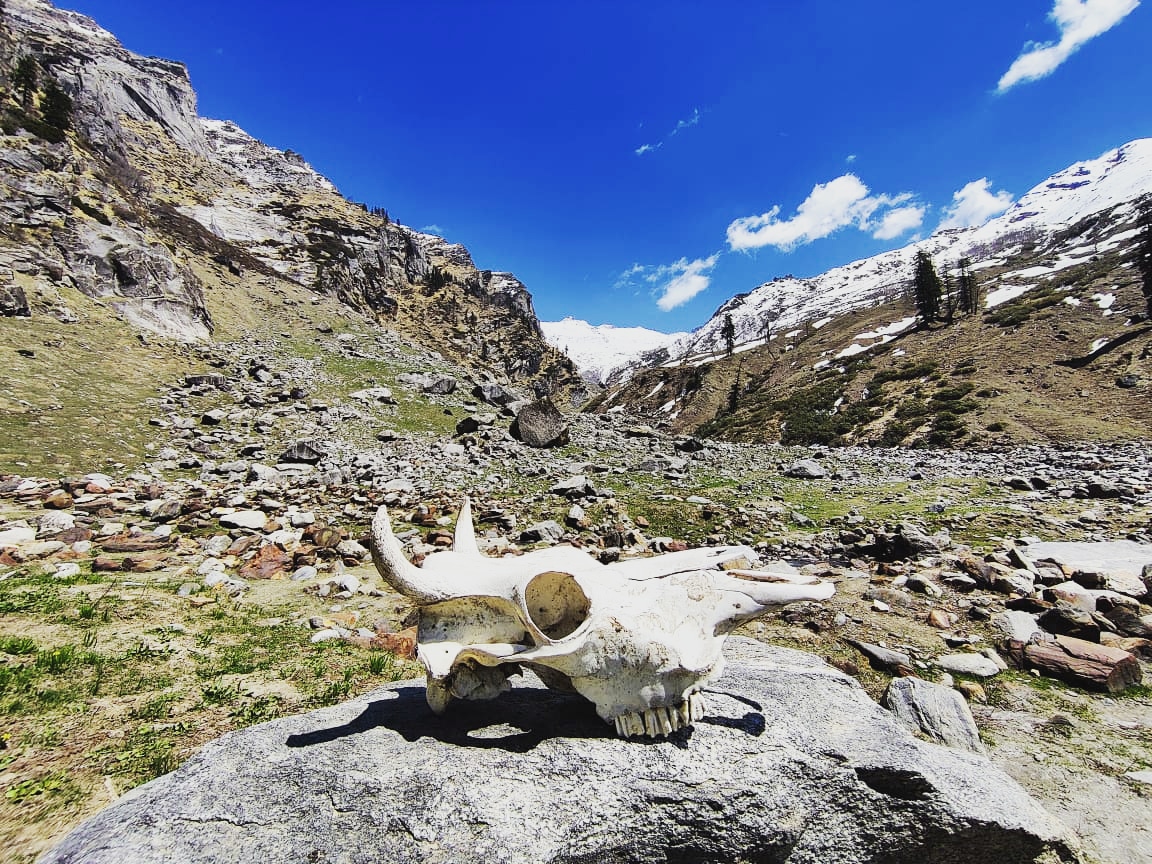 adventureyug's tweet photo. Hampta Pass Trek, Chandratal Lake 2021 | Get Early Bird Discount | Book Your Package Now. Experience 5D/4N Expedition To Hampta Pass ... 
. 
Call / what'sApp :- 9805557271.
#manaliadventure #hamptapass #chandertal #lake #trekking #camping #manalimemories #covid_19 #manalitourism https://t.co/wrADfW57Jv