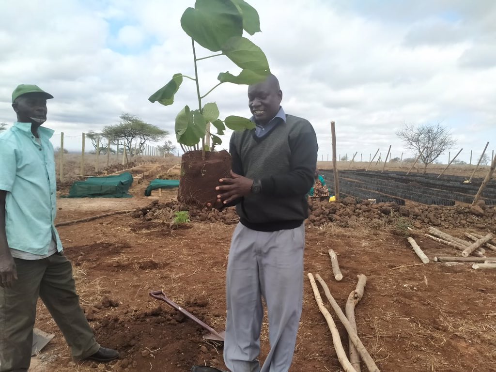 napo_kenya's tweet photo. Today we hosted the Marsabit KFS officers at our tree nursery in Kamboe, Marsabit. They offered advice and training on pricking out tree seedlings and planted several trees at our site. @KeForestService
#restoringafricadrylands #trees #betterwithtrees #climateaction https://t.co/YHQLoJRqVs