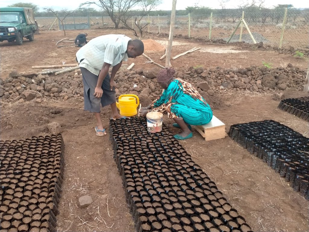 napo_kenya's tweet photo. Today we hosted the Marsabit KFS officers at our tree nursery in Kamboe, Marsabit. They offered advice and training on pricking out tree seedlings and planted several trees at our site. @KeForestService
#restoringafricadrylands #trees #betterwithtrees #climateaction https://t.co/YHQLoJRqVs