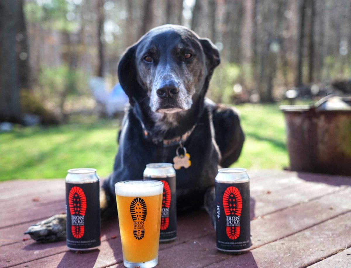 Pups are welcome back on the patio!!