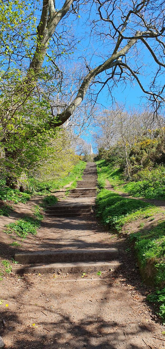 RuthyMcD's tweet photo. Incredible day up on Killiney Hill 😍

#Mc2021 #lockdownlife #my5k #nofilter https://t.co/qVogfF5FW3