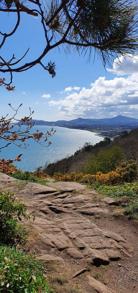 RuthyMcD's tweet photo. Incredible day up on Killiney Hill 😍

#Mc2021 #lockdownlife #my5k #nofilter https://t.co/qVogfF5FW3