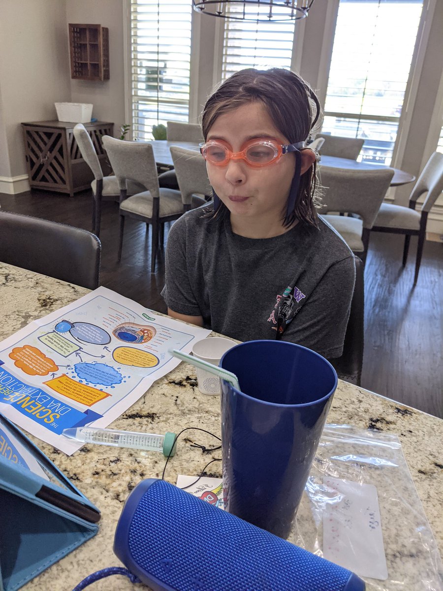 Syndy Lynch tweet media