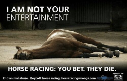 Honestly the most disgusting ‘sport’ if the jockeys were the ones dying and being shot and breaking their leg it would be banned tomorrow! #DontBetOnCruelty     #TheGrandNational #Grandnational