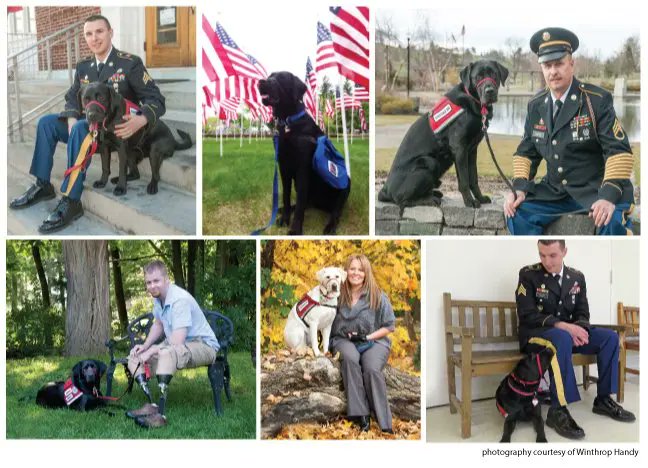 MDMilCoalition's tweet photo. Thank you Sen. Simonaire and @DelegateLong for sponsoring #SB338/#HB563-the Pets For Vets Act of 2021 which waivers adoption fees. @MDMilCoalition #Military #Veterans https://t.co/xgwNmGNS5S