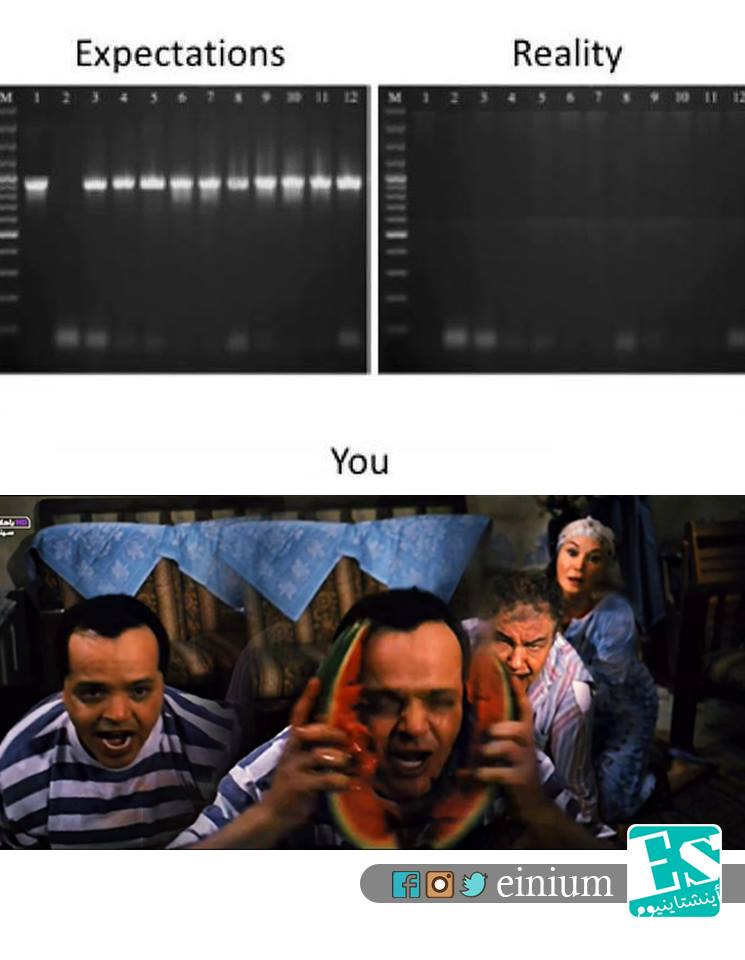 yosefmhmood's tweet photo. @AfteriGEM We created a lot of them (we were the template!)! 
@CUiGEM19 https://t.co/YRk29sn6Ye