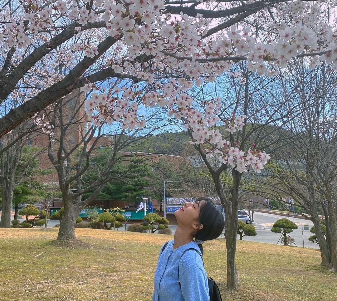 kngminach's tweet photo. 벚꽃과 나🌸 https://t.co/ZVJmLL31Od