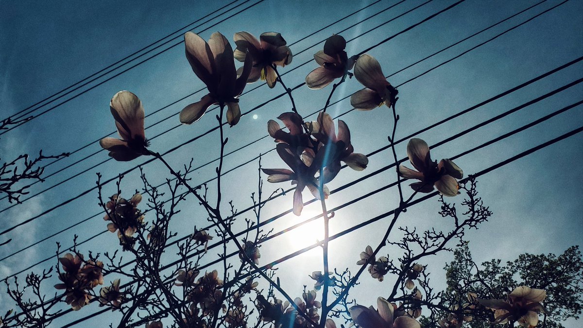 TRBLLGHTFLMS's tweet photo. #saturday #biketour #fleurs https://t.co/VziWy3Ovhf