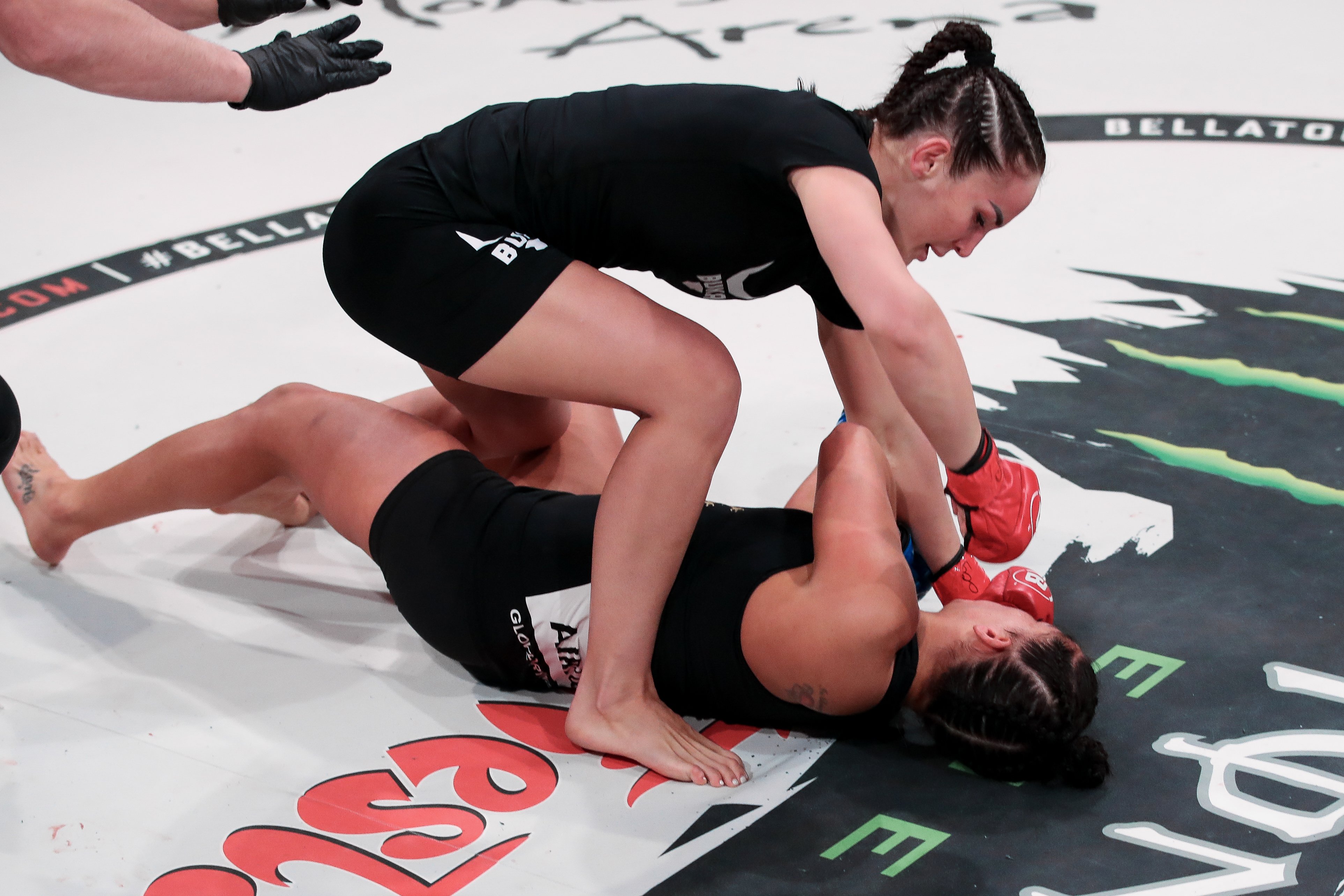 Willing to fight. Willing to fight. Willing to fight. Джамахал хилл. Двалишвили юфс.