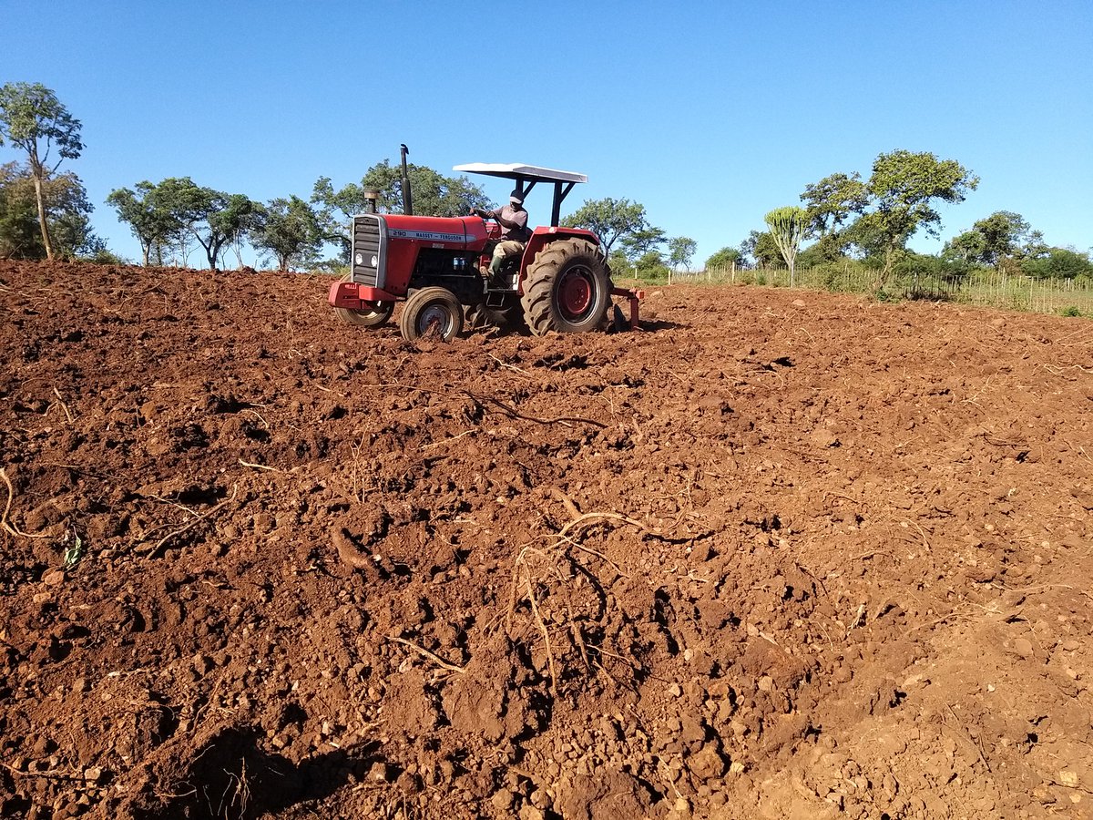 May_thelordt's tweet photo. The Family farm is more than a business. The family farm is a lifestyle, it is an ideal worth preserving . #workingonaweekend #agriculture #youngandfarming https://t.co/LOtyLngu10