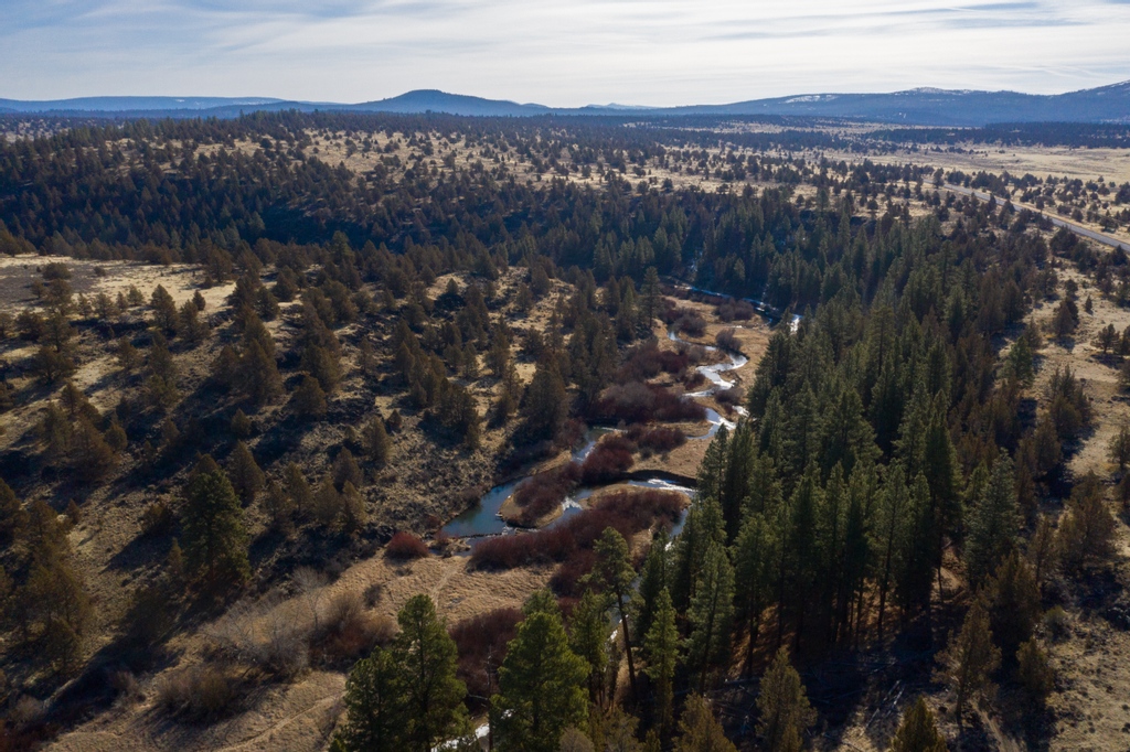 pacificrivers's tweet image. The Sprague River is another important piece of the Klamath River Headwaters and the South and North Fork along with several tributaries are proposed for Wild and Scenic Protection under the "River Democracy Act".  #ronwyden #jeffmerkley #ouroregonrivers