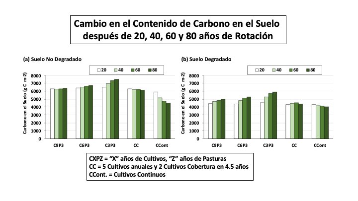 En Uruguay se puede producir cultivos anuales y secuestrar Carbono en el suelo, ajustando las rotaciones con pasturas y cultivos de cobertura (2). (Todo con Siembra Directa). 
Publicación en el SSSAJ de Marzo 2021 
DOI: 10.1002/saj2.20204