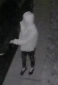 FranklinCoNews's tweet image. Franklin County Sheriff’s Office is attempting to identify 2 subjects that broke into numerous cars in the Wilder’s Crossing subdivision on 4/8/2021. suspects appear to be a young, white, male and female. 
 call Detective Dailey at 919-340-4312.

Terry M. Wright
Chief of Staff