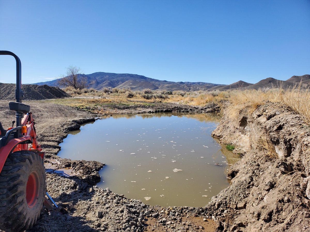 🧭Grant⏳️💙💚 tweet media