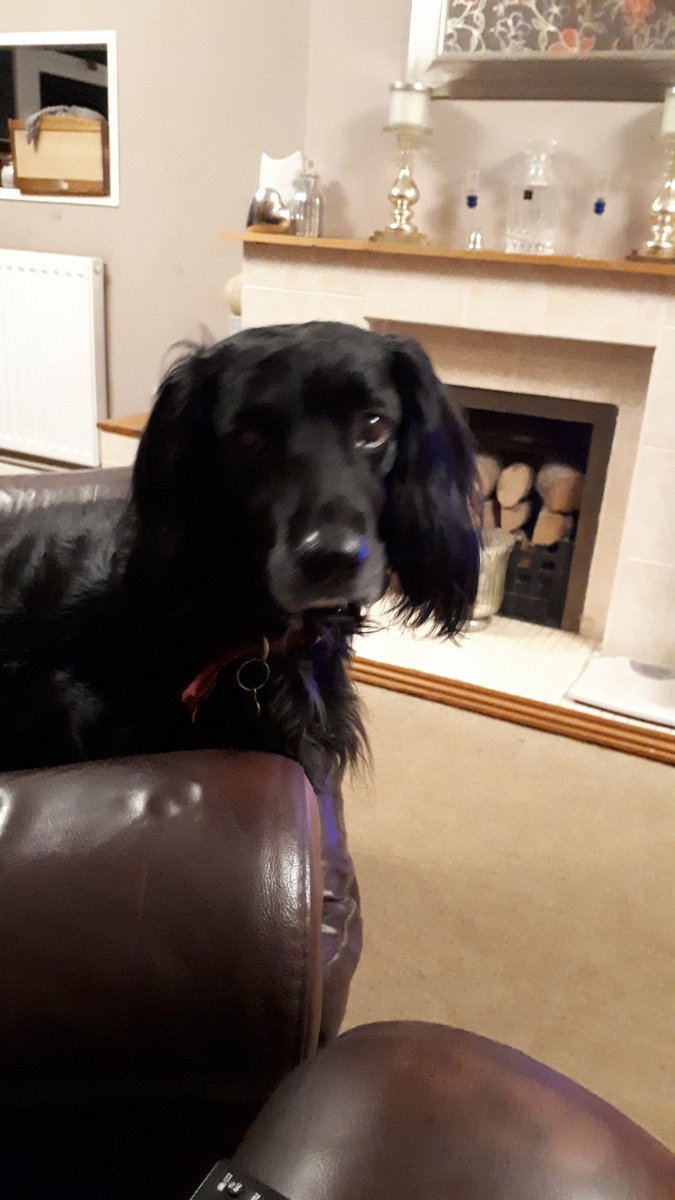 Terry Moran tweet media