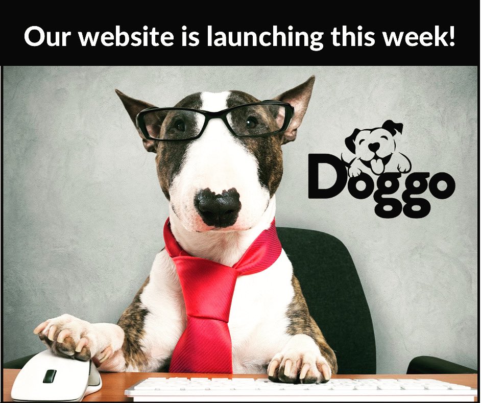 DoggoLLC's tweet image. It has been a process and it looks like Doggo will be launching this coming week! 🚀 We’re so excited for this opportunity to help our furry family with their overall health!!! 🐕 ❤️🐈 #DoggoSupplements #PetHealth