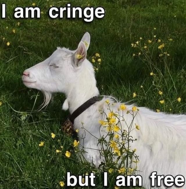 EyoN79iXEAMj3wG?format=jpg&name=small