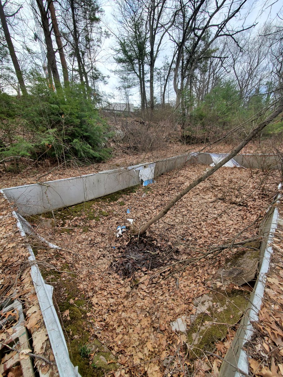 wrball's tweet photo. Ok, who ever got a chance to swim in the old 22 news pool? 

How about you @SteveRoulier https://t.co/RvFN8fgwzj