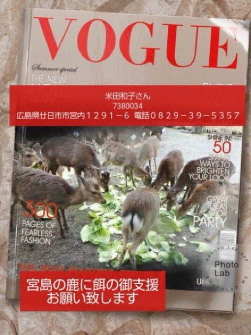 眠り猫 Aoisora1026 Twitter