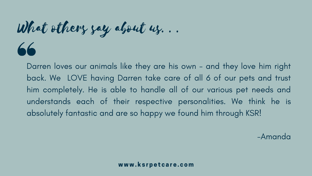 Wow, another wonderful review! We love hearing from happy clients 😍  #weloveourclients #supportsmallbusiness #supportlocalbusiness #novapetcare #nova #catsitting #catlovers #mclean #fallschurch #vienna #dogwalking #doglovers #adoptdontshop