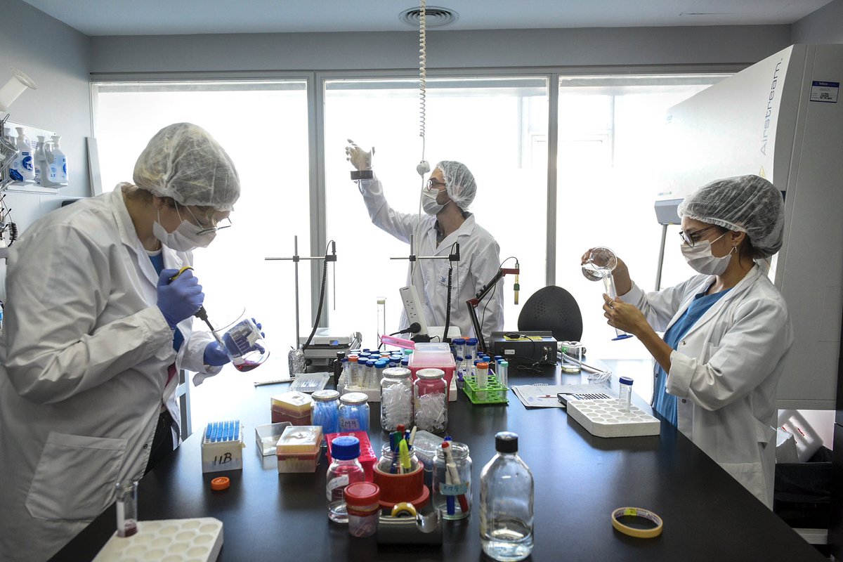 alferdez's tweet photo. Los investigadores y las investigadoras de nuestro país han tenido un desempeño de primer nivel mundial en la lucha contra el coronavirus.

En su día, quiero decirles que estaré siempre agradecido por lo que hicieron y lo que hacen cada día por los argentinos y las argentinas. https://t.co/JJfwGh2bOf