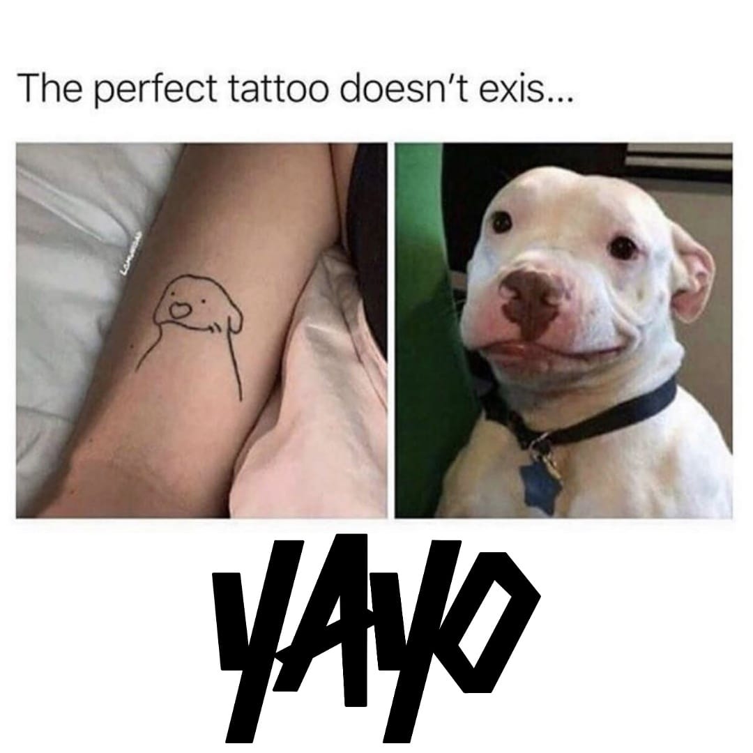 Pupper 😍

#meme #memes😂 #memesoftheday #tattoomeme #tattoomemes #tattoomemesofinstagram #dog #pupper #puppersofinstagram #doggo #dogmemes #dogmeme #funnymeme #funny #tattoos #tattoo #isleofwight #sheffield #tattooaftercare #vegan #ecofriendly #share #yayo #yayofamilia