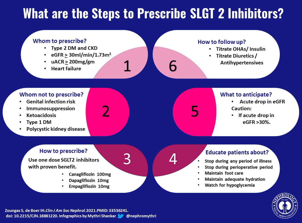 Lets step into the new era of SGLT2 inhibitors!! #sglt2inhibitors

'Six Simple Steps for SGLT2 Inhibitors!'

Thank you @NSMCInternship @Nephro_Sparks @whatsthegfr @sophia_kidney @DTomacruzMD @CTeodosiu & Team beanpod!