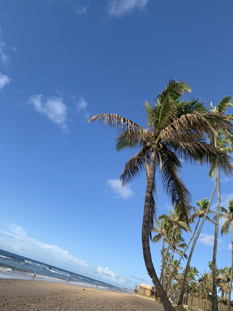 369infinit0's tweet image. “O preço da excelência é a disciplina. O custo da mediocridade é a decepção.”