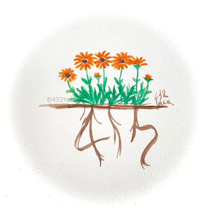 花イラストのtwitterイラスト検索結果 花イラストのtwitterイラスト検索結果