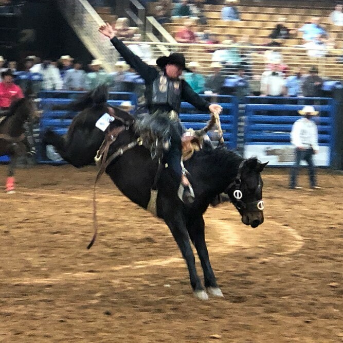 positiveosceola's tweet photo. It is Friends and Family Day at the RAM Nation Circuit Finals Rodeo! Grab your kids and come on down for a rootin’ tootin’ good time! 🐎 
#ramncfr #positivelyosceola #SilverSpurs @rncfrkissimmee https://t.co/RHSQltWamN https://t.co/nUIYkUNExf