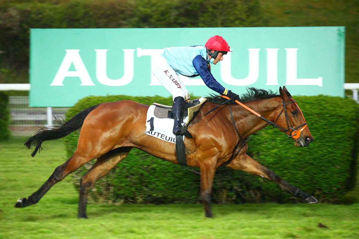 davidcottin's tweet image. Our total of 🥇🥇🥇🥇🥇winners today as 💙MUHTALAD❤️ (Muhtathir) wins on his second outing over the fences @Hippo_Auteuil - well done to owner Maggie Bryant @ecuriebryant. Special mention to 💕Juliette💕 who is the morning rider of our 3 Auteuil winners &amp;amp; @kevinnabet #handsofgold